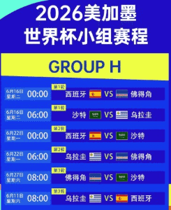 竞彩网平台界面展示